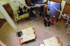 IMG_3372