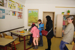 IMG_7517