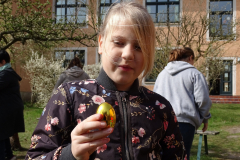 DSC00971