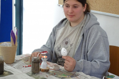 DSC01006